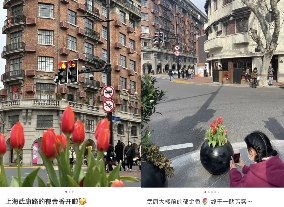 老辈子拍照,为啥让巴黎旅游变成了村口打卡(图1) 老辈子拍照,为啥让巴黎旅游变成了村口打卡