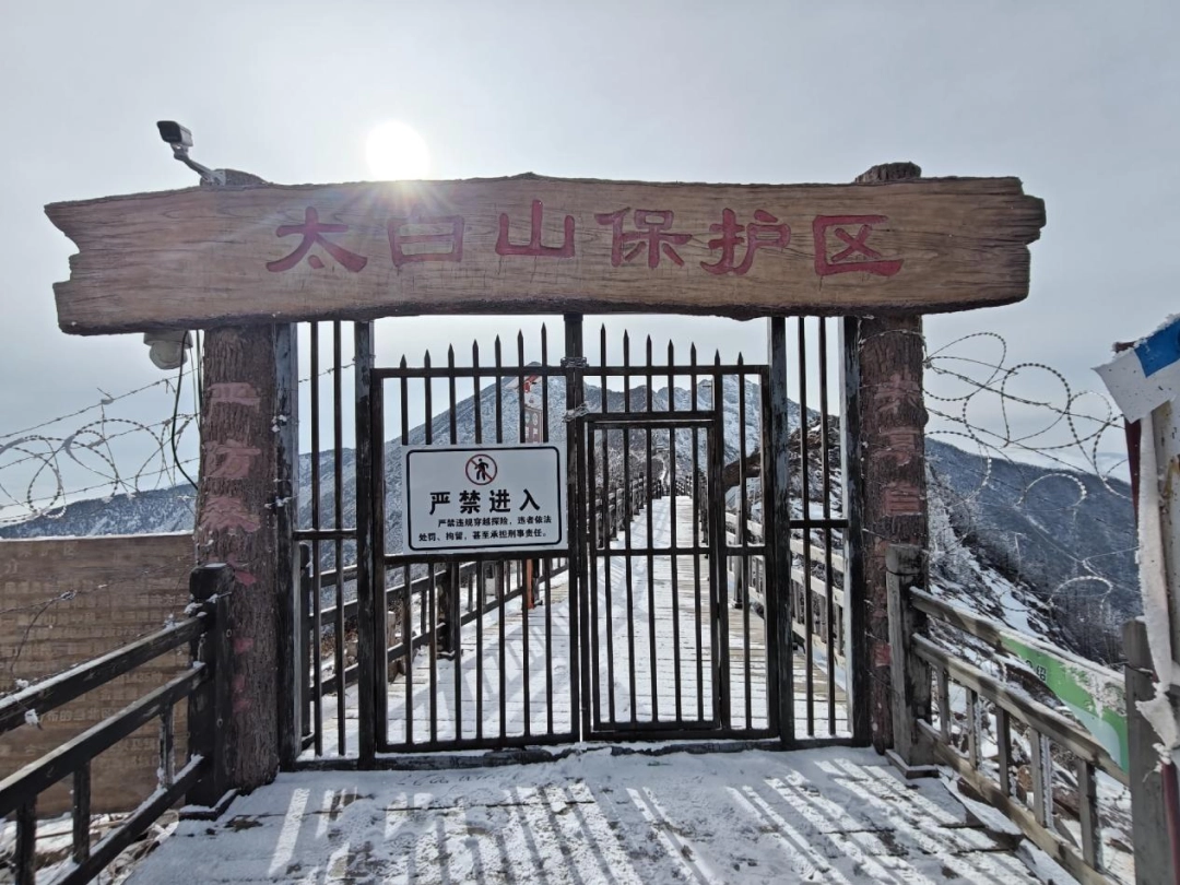 别特么去鳌太线送人头了,是耳朵聋吗?