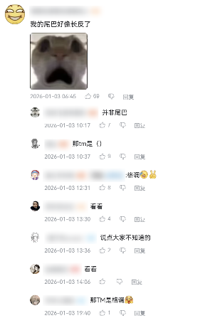 家人们,在人中下面的器官塞进劲辣鸡腿堡会很舒服(图13) 家人们,在人中下面的器官塞进劲辣鸡腿堡会很舒服