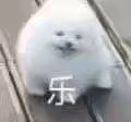 一场胶佬退坑、筹钱治病的骗局,硬是把奥迪双钻骗成了小丑(图6) 一场胶佬退坑、筹钱治病的骗局,硬是把奥迪双钻骗成了小丑