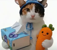 现在互联网上最火的猫,从“耄耋”变成了“萝卜纸巾猫”(图5) 现在互联网上最火的猫,从“耄耋”变成了“萝卜纸巾猫”