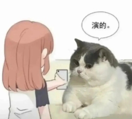 现在互联网上最火的猫,从“耄耋”变成了“萝卜纸巾猫”(图8) 现在互联网上最火的猫,从“耄耋”变成了“萝卜纸巾猫”