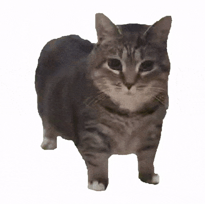 现在互联网上最火的猫,从“耄耋”变成了“萝卜纸巾猫”(图1) 现在互联网上最火的猫,从“耄耋”变成了“萝卜纸巾猫”