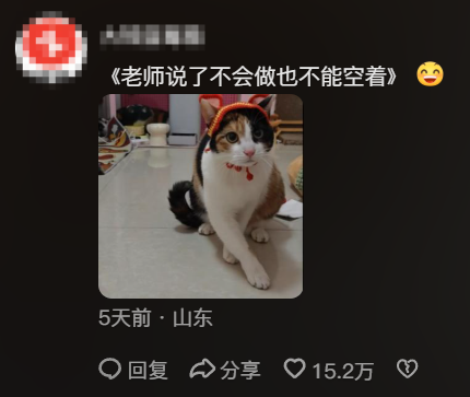 现在互联网上最火的猫,从“耄耋”变成了“萝卜纸巾猫”(图16) 现在互联网上最火的猫,从“耄耋”变成了“萝卜纸巾猫”