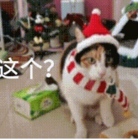 现在互联网上最火的猫,从“耄耋”变成了“萝卜纸巾猫”(图13) 现在互联网上最火的猫,从“耄耋”变成了“萝卜纸巾猫”