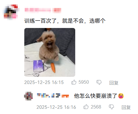 现在互联网上最火的猫,从“耄耋”变成了“萝卜纸巾猫”(图18) 现在互联网上最火的猫,从“耄耋”变成了“萝卜纸巾猫”