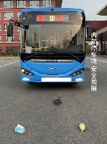 现在互联网上最火的猫,从“耄耋”变成了“萝卜纸巾猫”(图26) 现在互联网上最火的猫,从“耄耋”变成了“萝卜纸巾猫”