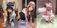 现在互联网上最火的猫,从“耄耋”变成了“萝卜纸巾猫”(图23) 现在互联网上最火的猫,从“耄耋”变成了“萝卜纸巾猫”