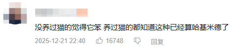 现在互联网上最火的猫,从“耄耋”变成了“萝卜纸巾猫”(图31) 现在互联网上最火的猫,从“耄耋”变成了“萝卜纸巾猫”