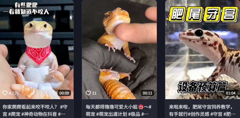 东方树叶变质长出的茶菌,怎么就成为了超越哈基米的宠物界顶流?(图1) 东方树叶变质长出的茶菌,怎么就成为了超越哈基米的宠物界顶流?