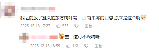 东方树叶变质长出的茶菌,怎么就成为了超越哈基米的宠物界顶流?(图3) 东方树叶变质长出的茶菌,怎么就成为了超越哈基米的宠物界顶流?
