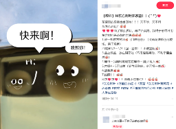 东方树叶变质长出的茶菌,怎么就成为了超越哈基米的宠物界顶流?(图6) 东方树叶变质长出的茶菌,怎么就成为了超越哈基米的宠物界顶流?