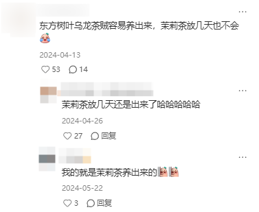 东方树叶变质长出的茶菌,怎么就成为了超越哈基米的宠物界顶流?(图8) 东方树叶变质长出的茶菌,怎么就成为了超越哈基米的宠物界顶流?