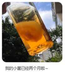 东方树叶变质长出的茶菌,怎么就成为了超越哈基米的宠物界顶流?(图12) 东方树叶变质长出的茶菌,怎么就成为了超越哈基米的宠物界顶流?
