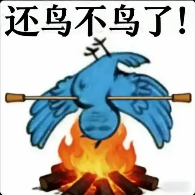 糊得包浆的“我鸟都不鸟你”表情包,怎么成了不少网友的赛博嘴替?(图5) 糊得包浆的“我鸟都不鸟你”表情包,怎么成了不少网友的赛博嘴替?