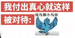 糊得包浆的“我鸟都不鸟你”表情包,怎么成了不少网友的赛博嘴替?(图14) 糊得包浆的“我鸟都不鸟你”表情包,怎么成了不少网友的赛博嘴替?
