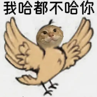 糊得包浆的“我鸟都不鸟你”表情包,怎么成了不少网友的赛博嘴替?(图15) 糊得包浆的“我鸟都不鸟你”表情包,怎么成了不少网友的赛博嘴替?