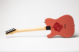 FENDER推出怪物猎人火龙联名款 TELECASTER® 电吉他(图4) 怪物猎人4