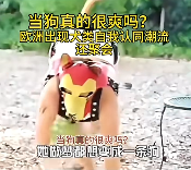 在大街上当狗的外国人,真的有了犬类自我认同?(图3) 在大街上当狗的外国人,真的有了犬类自我认同?