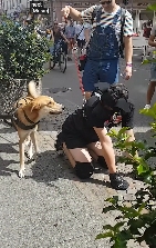 在大街上当狗的外国人,真的有了犬类自我认同?(图7) 在大街上当狗的外国人,真的有了犬类自我认同?