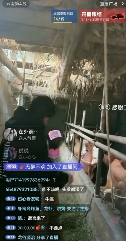 云南BIGBANG爆火后,土味男女团成了新的流量密码(图6) 云南BIGBANG爆火后,土味男女团成了新的流量密码