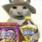 “没建模没经济”的“干嘛猫”,就不能收获属于自己的幸福吗?(图8) “没建模没经济”的“干嘛猫”,就不能收获属于自己的幸福吗?