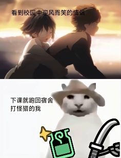 “没建模没经济”的“干嘛猫”,就不能收获属于自己的幸福吗?(图15) “没建模没经济”的“干嘛猫”,就不能收获属于自己的幸福吗?