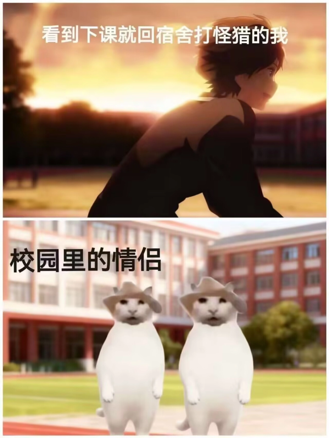 “没建模没经济”的“干嘛猫”,就不能收获属于自己的幸福吗?(图17) “没建模没经济”的“干嘛猫”,就不能收获属于自己的幸福吗?