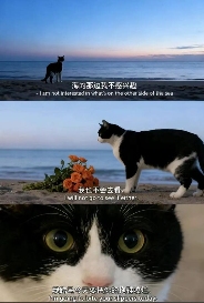 用AI生成的海边氛围三宫格,怎么内容变得越来越抽象了?(图19) 用AI生成的海边氛围三宫格,怎么内容变得越来越抽象了?