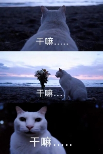用AI生成的海边氛围三宫格,怎么内容变得越来越抽象了?(图18) 用AI生成的海边氛围三宫格,怎么内容变得越来越抽象了?