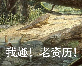 用AI生成的海边氛围三宫格,怎么内容变得越来越抽象了?(图20) 用AI生成的海边氛围三宫格,怎么内容变得越来越抽象了?