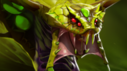 6月16日DOTA2客户端更新：7.33d游戏性更新(图11)